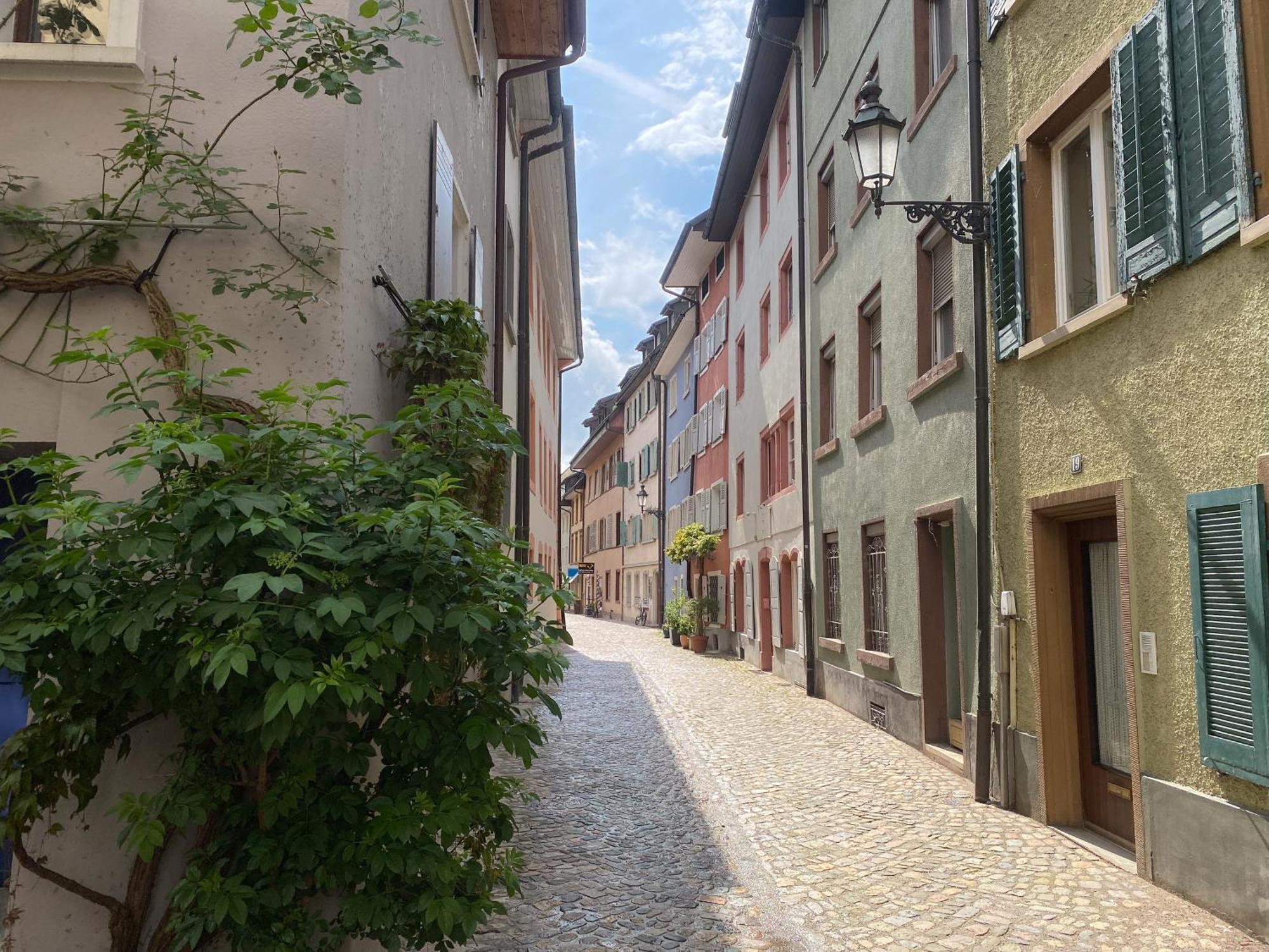 Neu Deluxe Suite Muensterblick, Maisonette, Kingsize Bett, Kueche, Netflix, Aussicht, E-Kamin Bad Sackingen Exterior photo