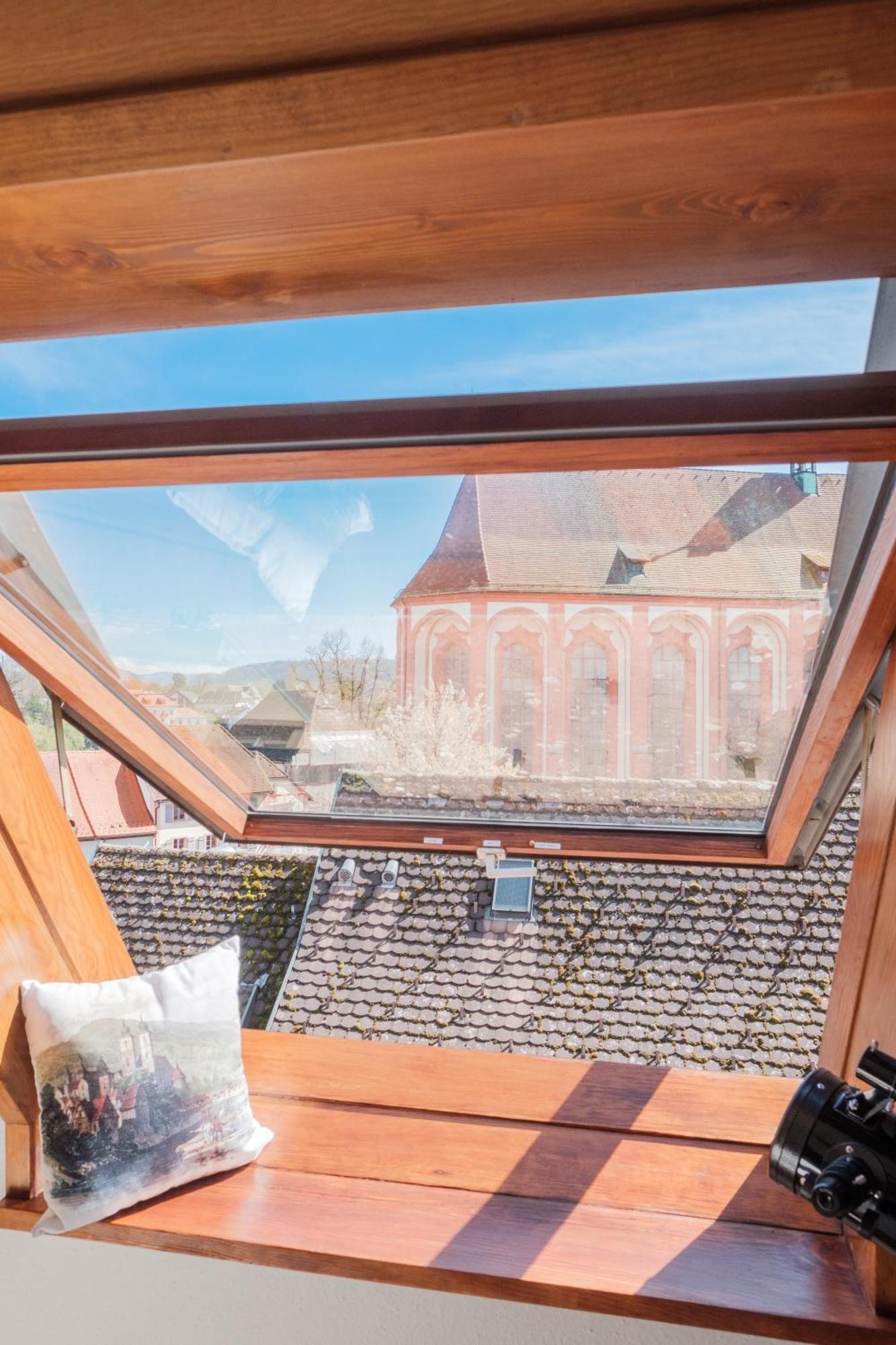 Neu Deluxe Suite Muensterblick, Maisonette, Kingsize Bett, Kueche, Netflix, Aussicht, E-Kamin Bad Sackingen Exterior photo